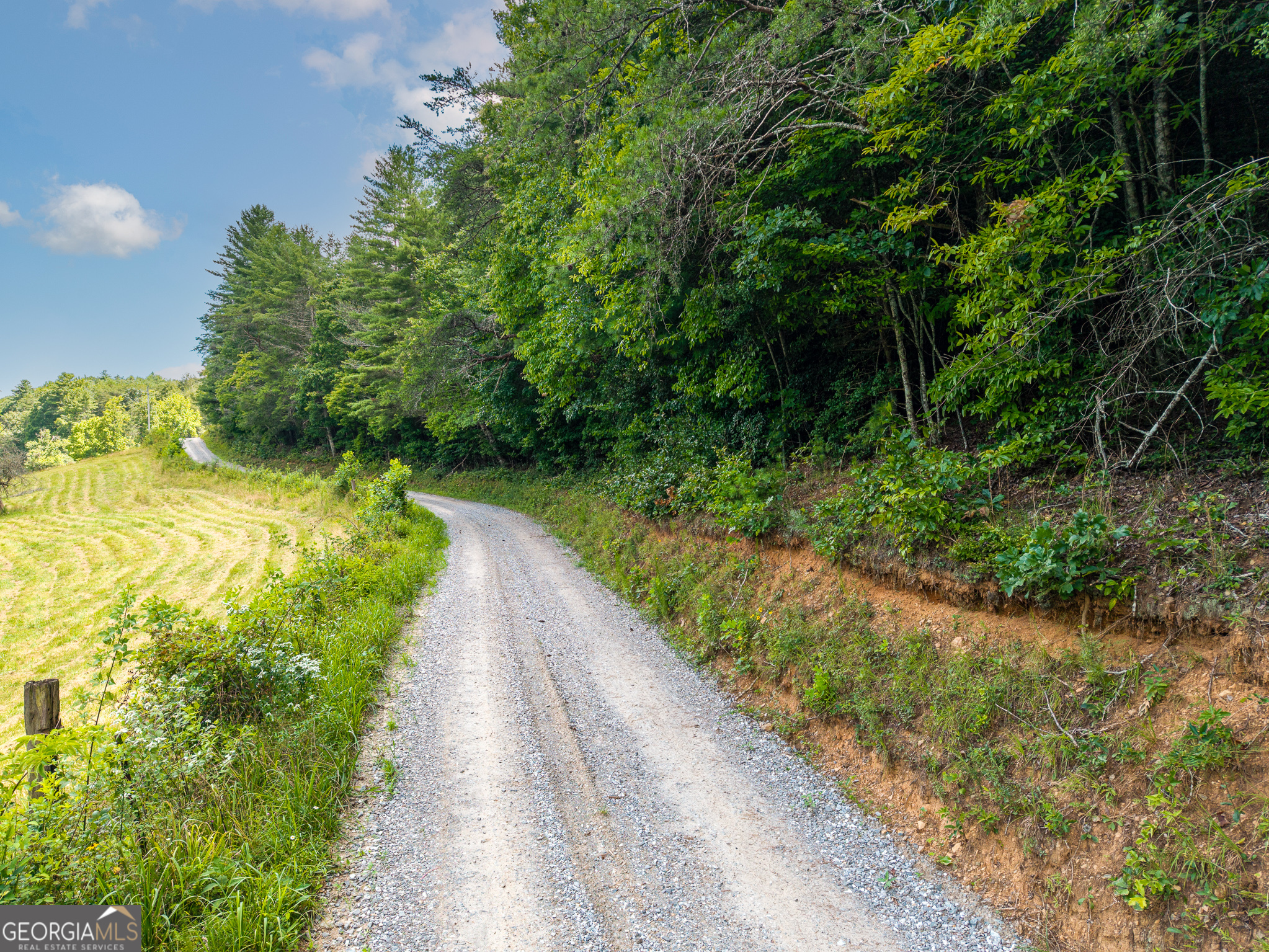 0 White Pine Road McCaysville, GA 30555 - Photo 18 of 32 Gallery Image 18
