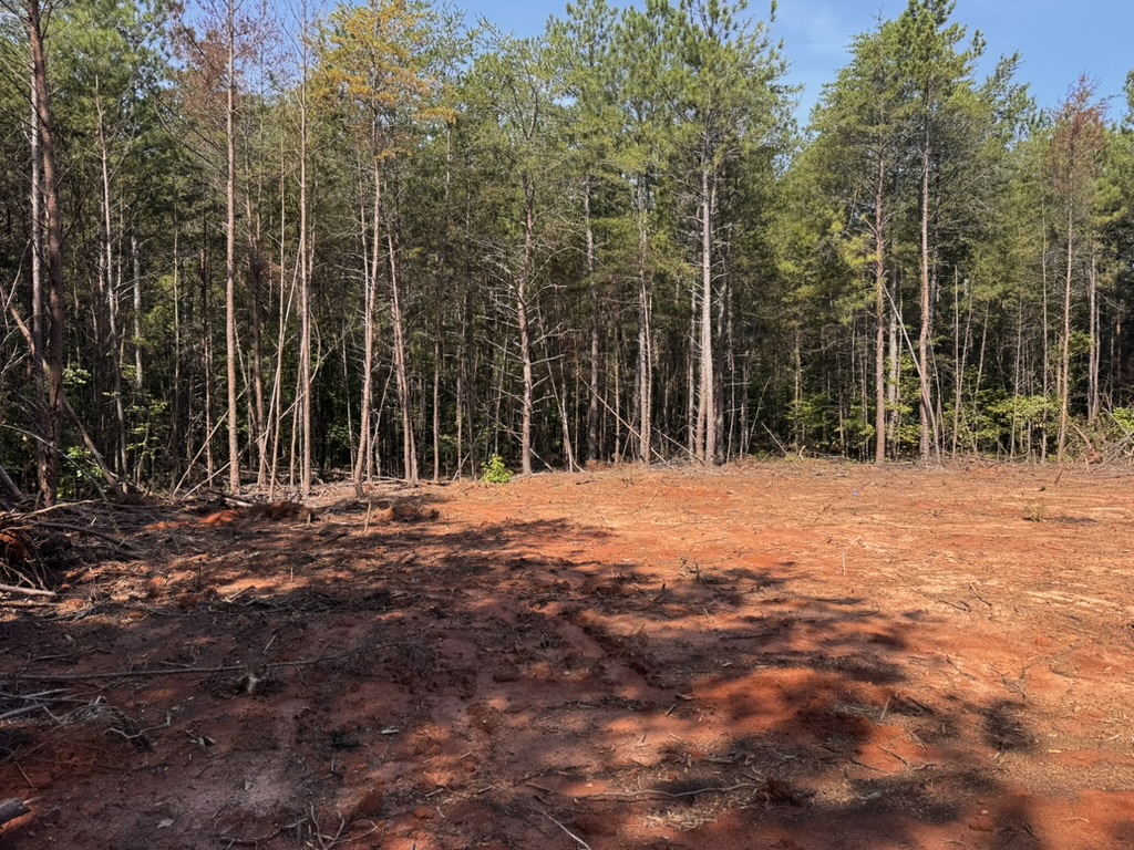 0 Dixon Road, Unit TRACT 3 Westminster, SC 29693 - Photo 5 of 7 Cleared ground sits ready for development bordered by a dense stand of mature trees.