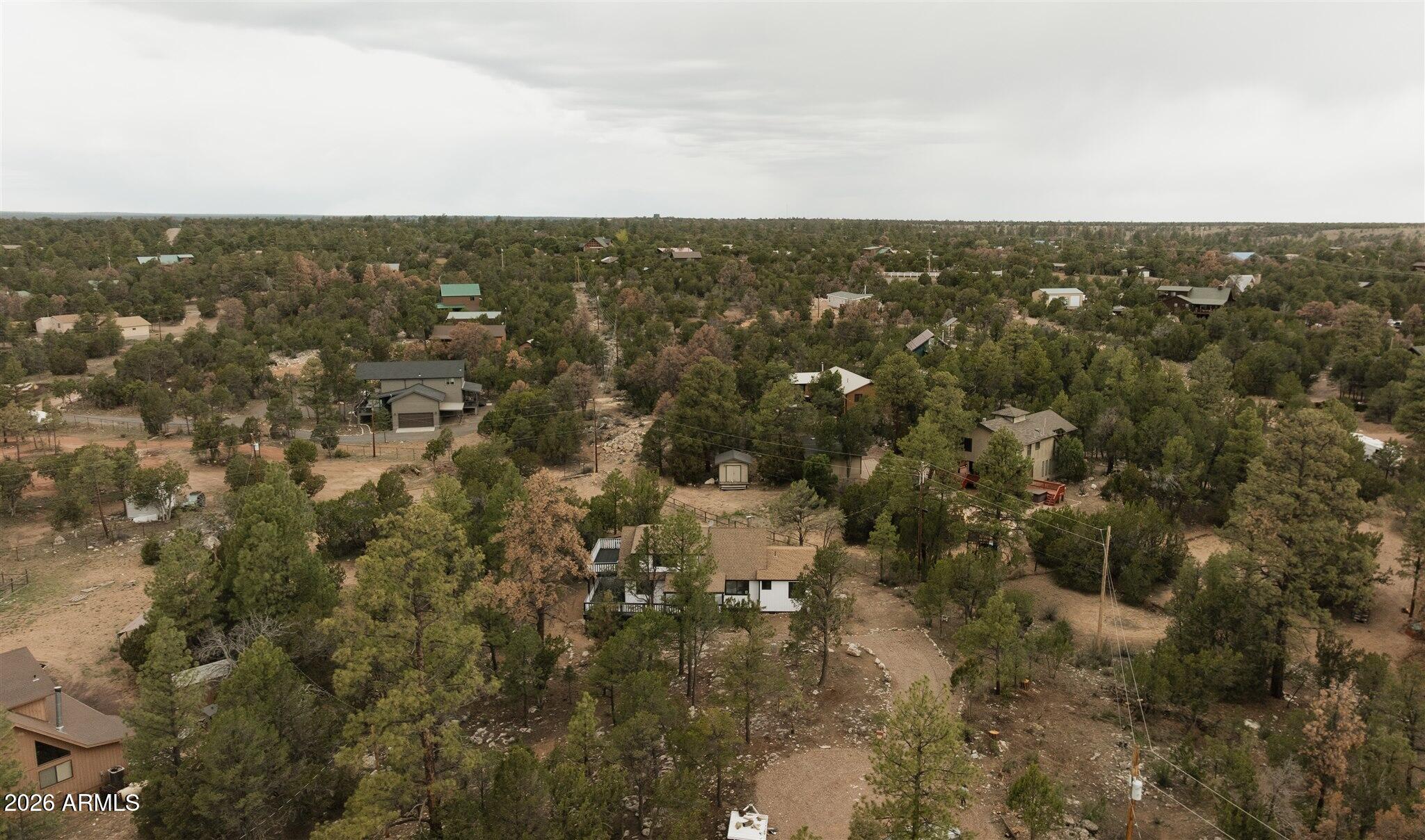 3326 Homestead Drive Overgaard, AZ 85933 - Photo 66 of 93 DJI_0465