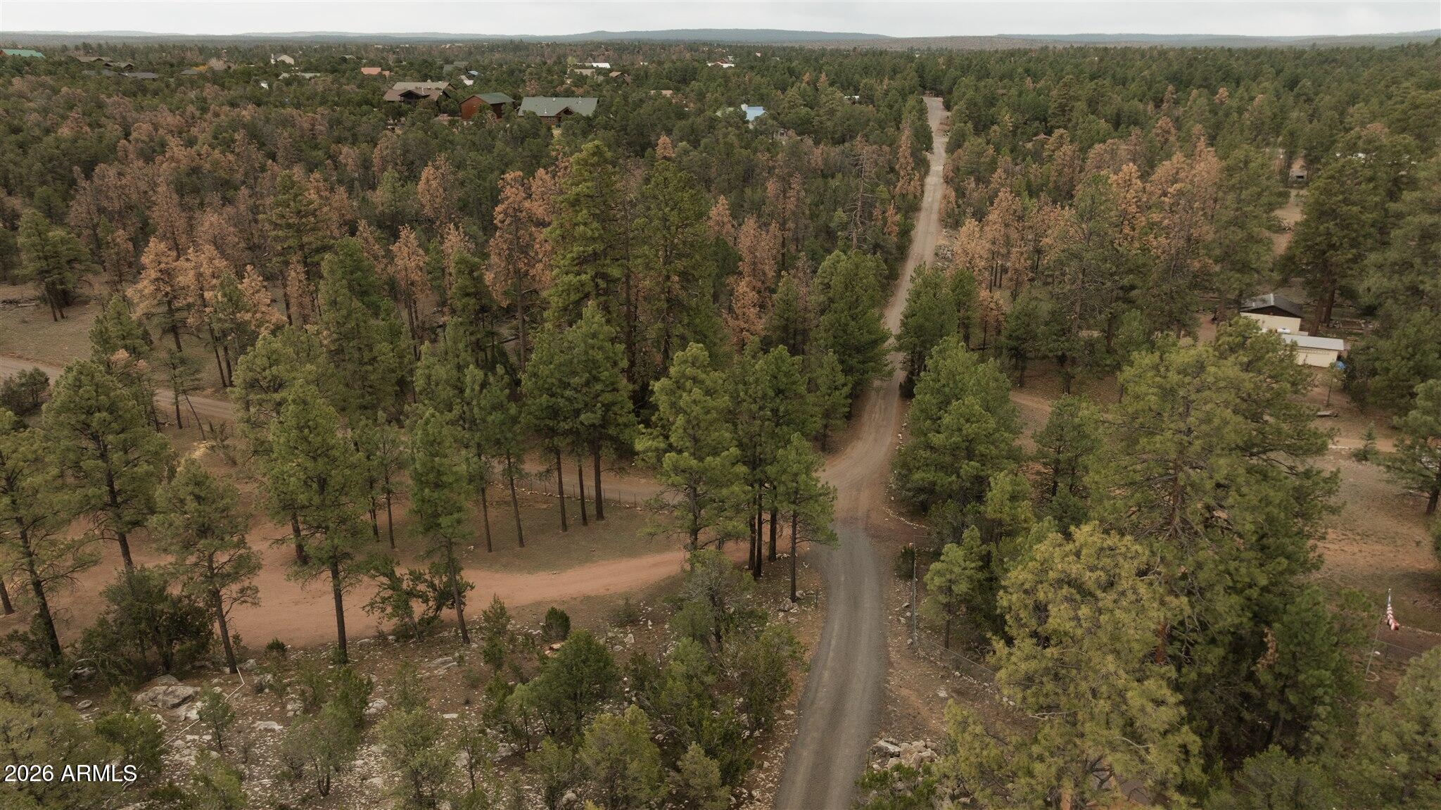 3326 Homestead Drive Overgaard, AZ 85933 - Photo 69 of 93 DJI_0473