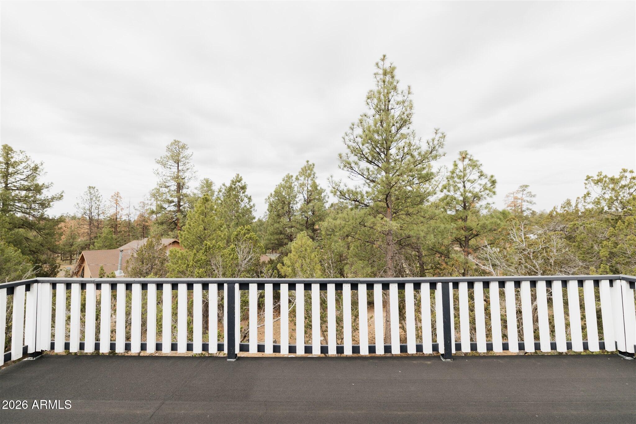 3326 Homestead Drive Overgaard, AZ 85933 - Photo 81 of 93 2K4A5984