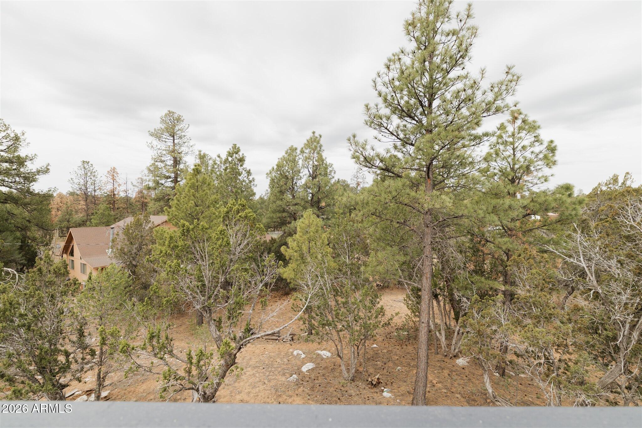 3326 Homestead Drive Overgaard, AZ 85933 - Photo 82 of 93 2K4A5993