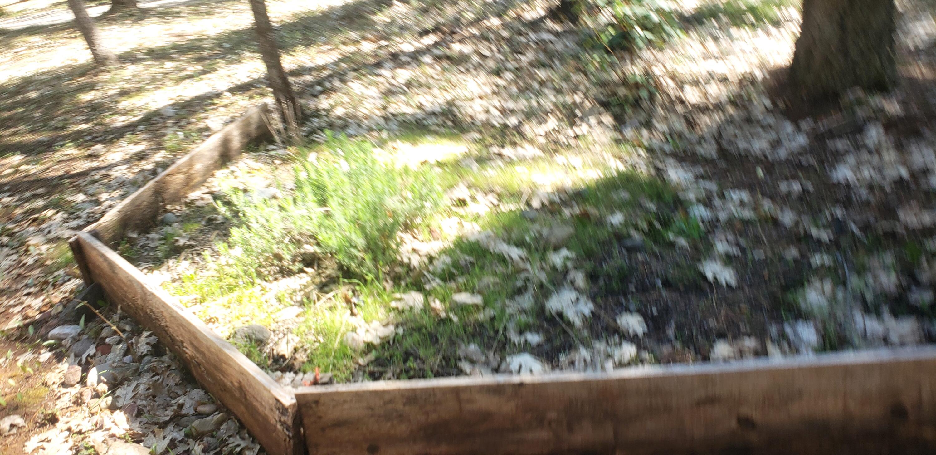 400 Glendon Road Cave Junction, OR 97523 - Photo 17 of 28 flower bed box