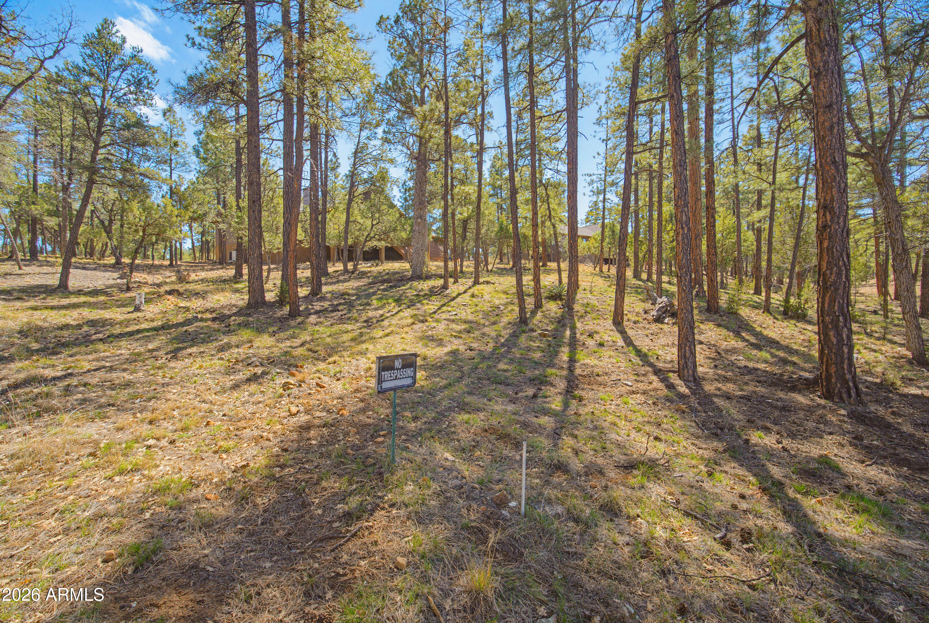 1522 Mainline Road Heber, AZ 85928 - Photo 28 of 34 Back Lot Line