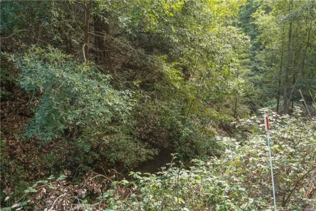 $37,000 | 0 Old Mill Avenue, Felton, CA 95018