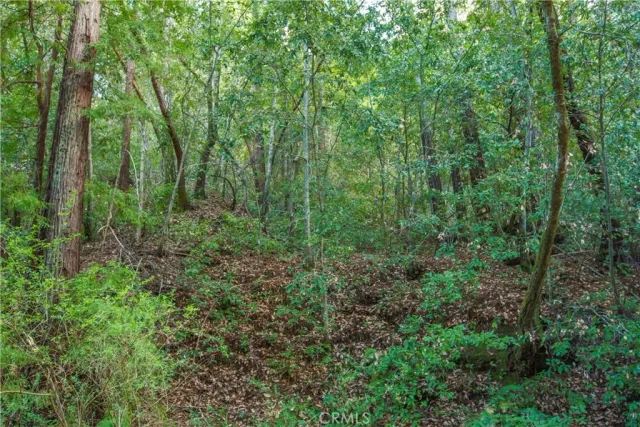 $37,000 | 0 Old Mill Avenue, Felton, CA 95018