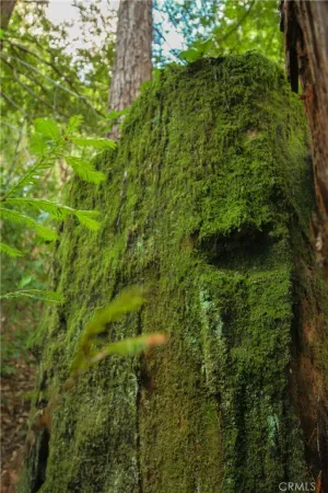 $37,000 | 0 Old Mill Avenue, Felton, CA 95018