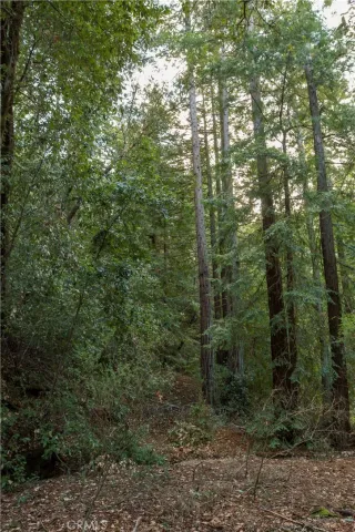 $37,000 | 0 Old Mill Avenue, Felton, CA 95018