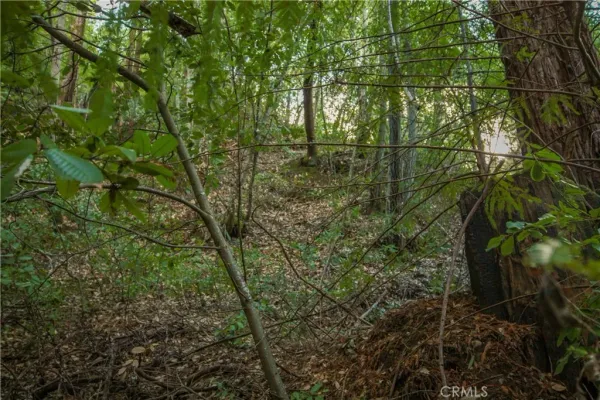 $37,000 | 0 Old Mill Avenue, Felton, CA 95018