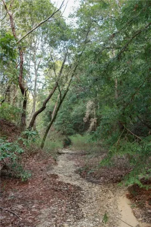 $37,000 | 0 Old Mill Avenue, Felton, CA 95018