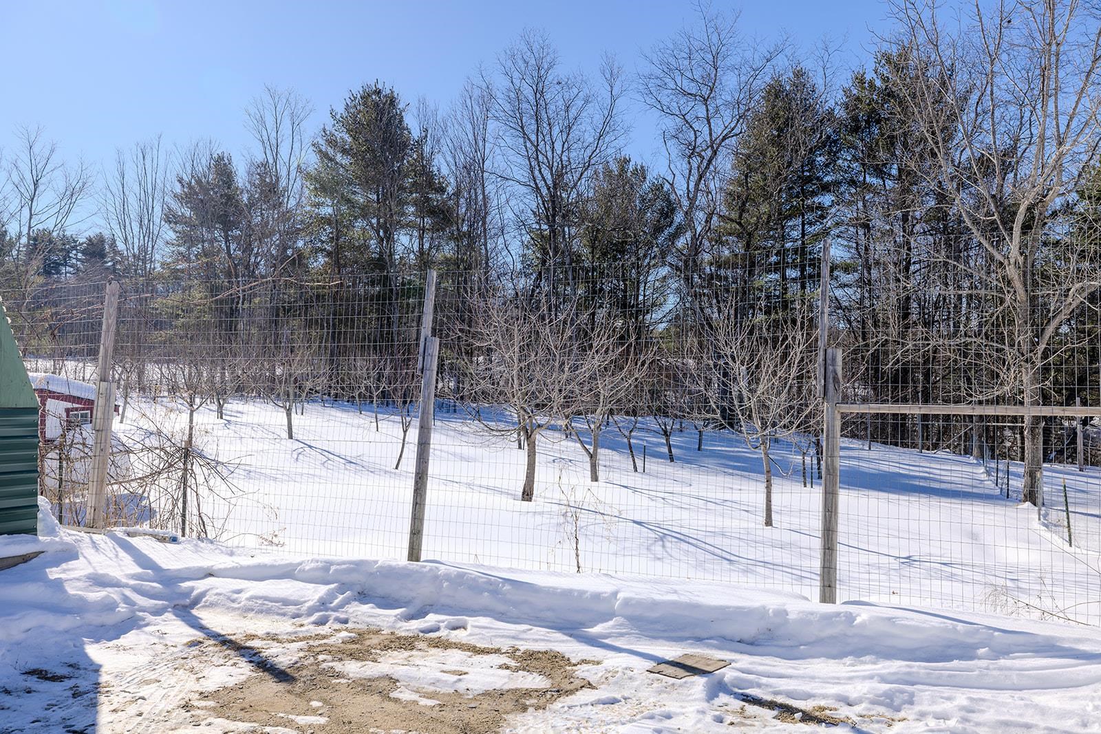 1168 New Hampton Road Sanbornton, NH 03269 - Photo 4 of 54