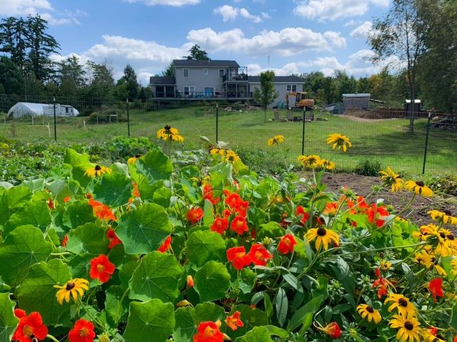 1168 New Hampton Road Sanbornton, NH 03269 - Photo 7 of 54