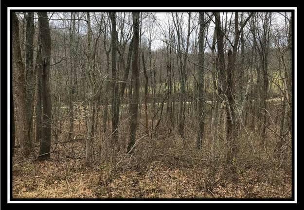 70 Dougan Road Patriot, OH 45658 - Photo 10 of 18 Gallery Image 10