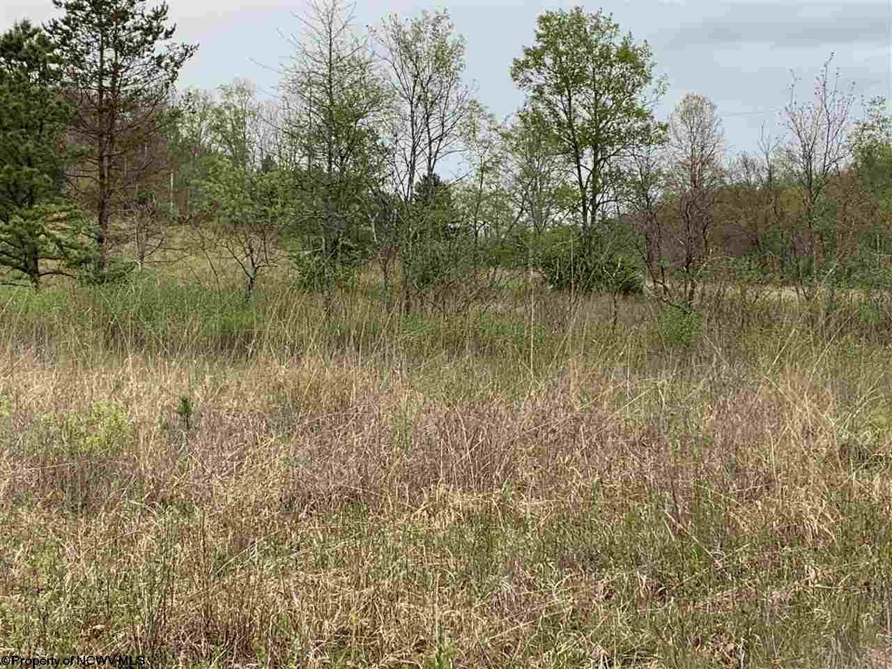 0 Springstone Road Montrose, WV 26283 - Photo 2 of 3 Gallery Image 2