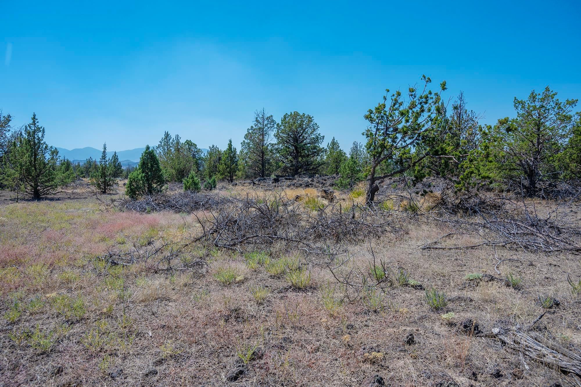 0 East Louie Road Montague, CA 96064 - Photo 8 of 24 Gallery Image 8