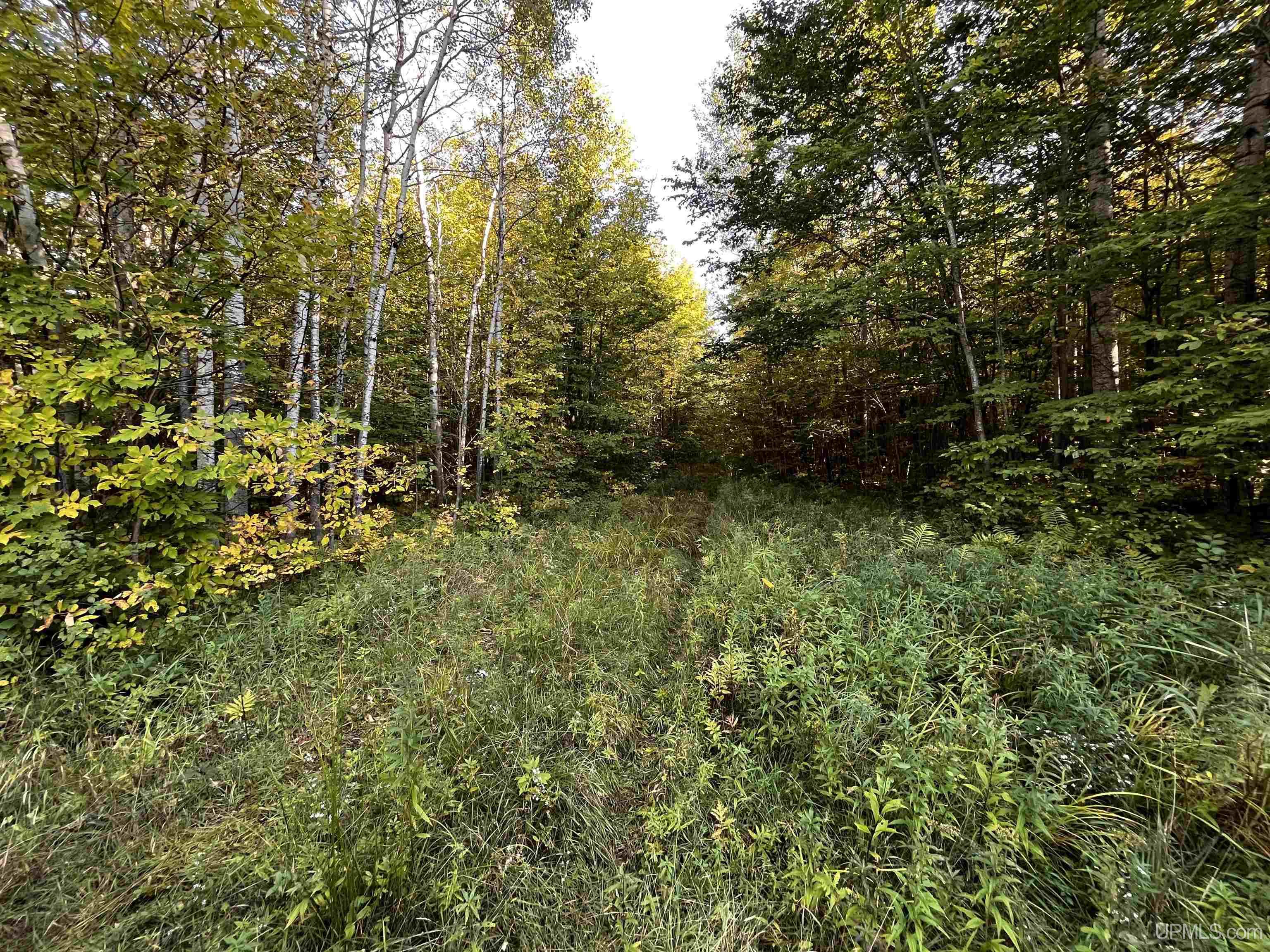 Tbd Bolo Road Walkerville, MI 49459 - Photo 2 of 17