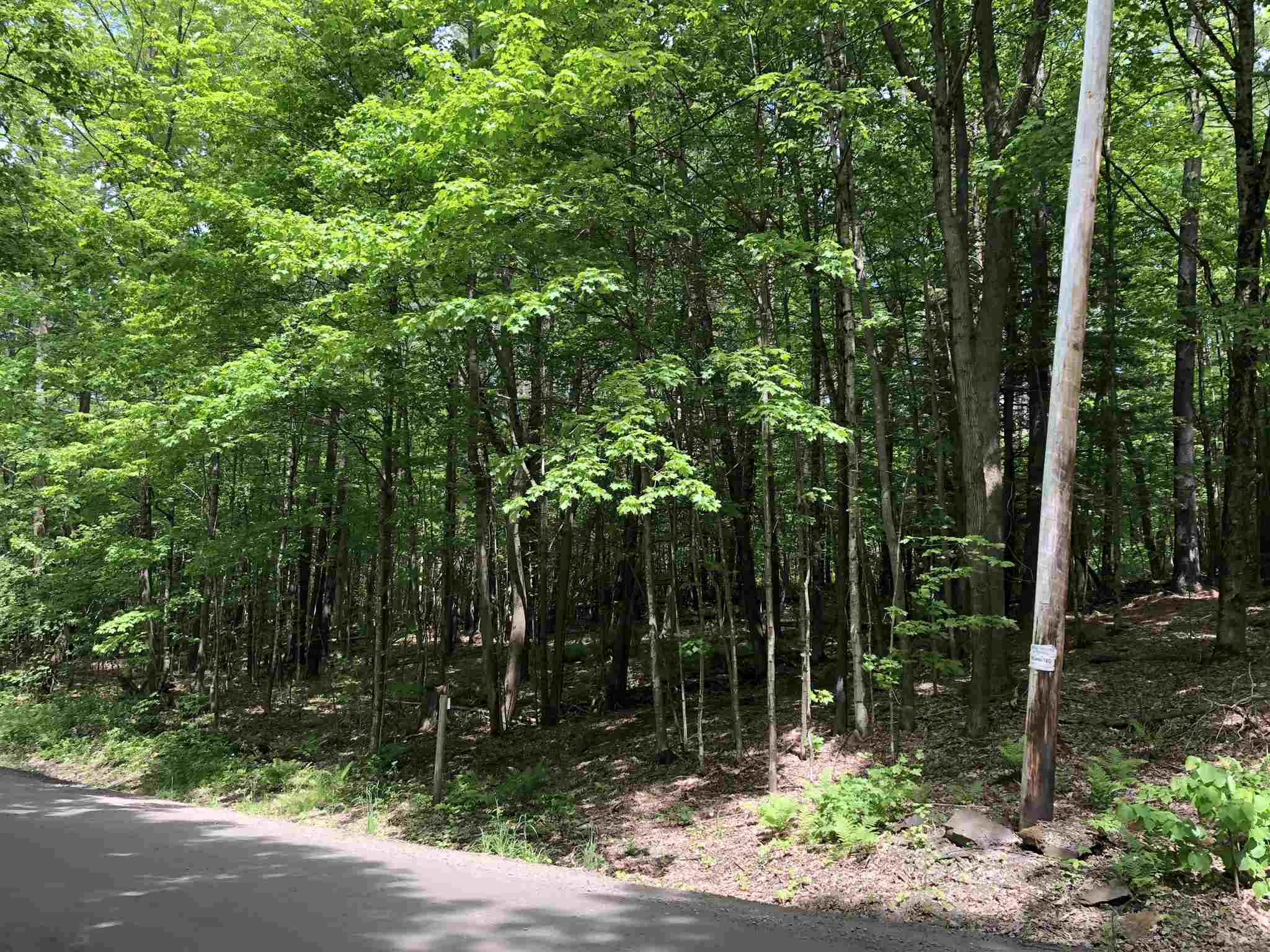 0 Fish Hill Road, Unit LOT 11 Randolph, VT 05060 - Photo 1 of 5 Gallery Image 1