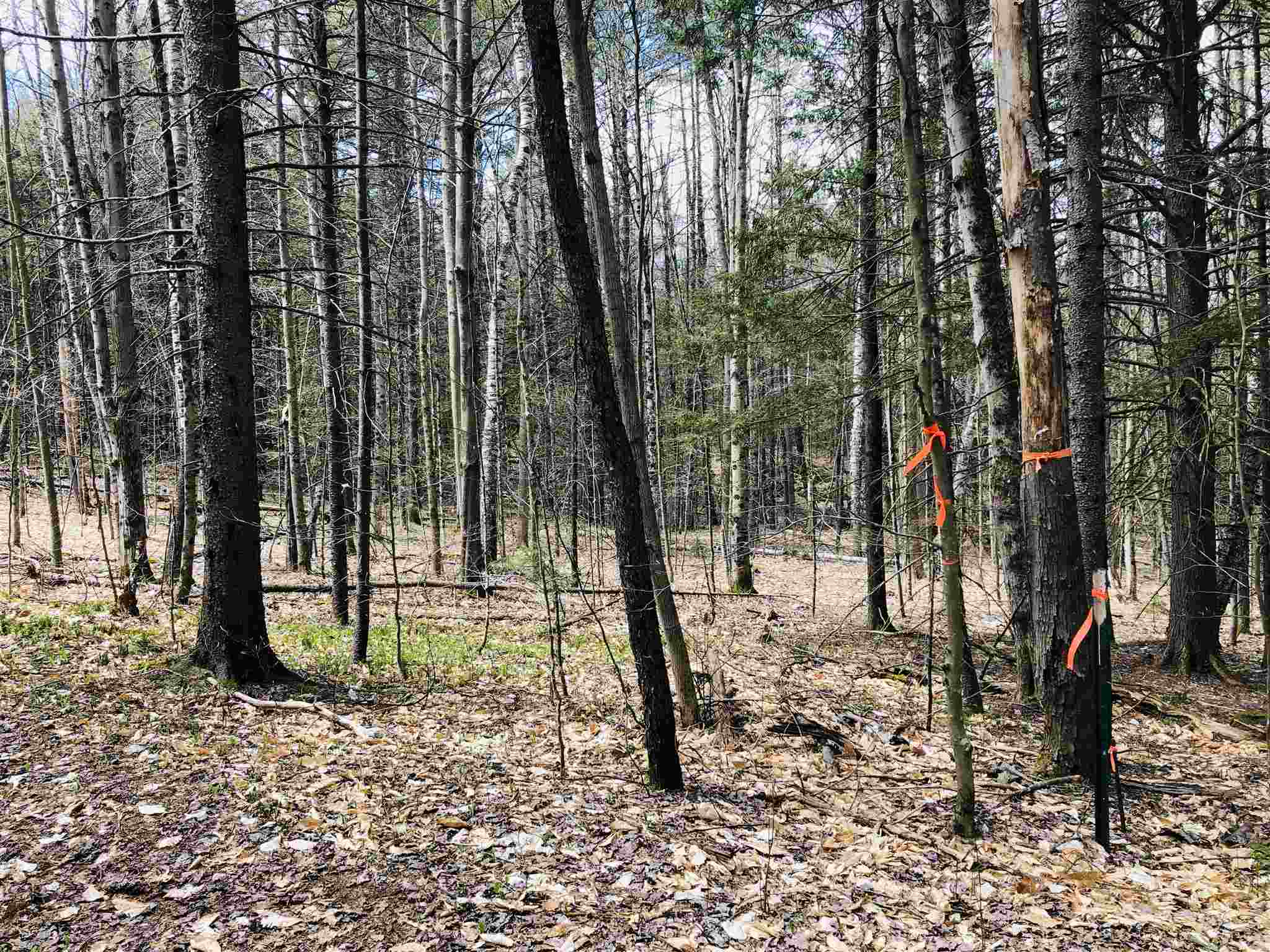 0 Fish Hill Road, Unit LOT 11 Randolph, VT 05060 - Photo 3 of 5 Gallery Image 3