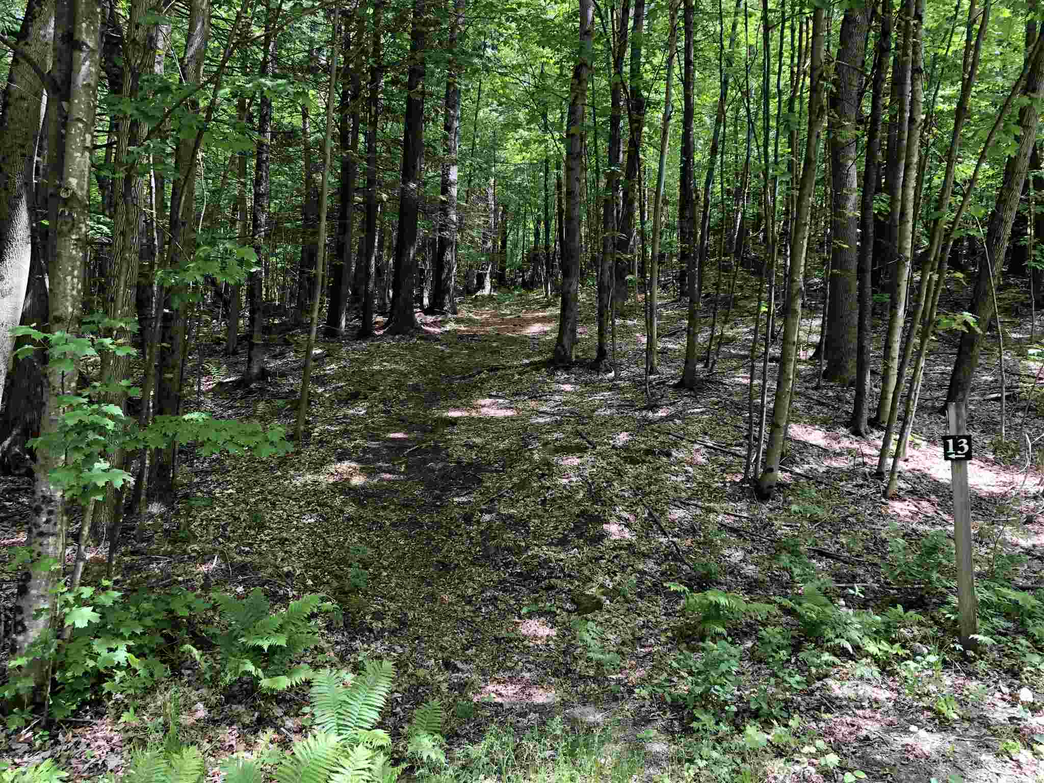 0 Fish Hill Road, Unit LOT 11 Randolph, VT 05060 - Photo 4 of 5 Gallery Image 4