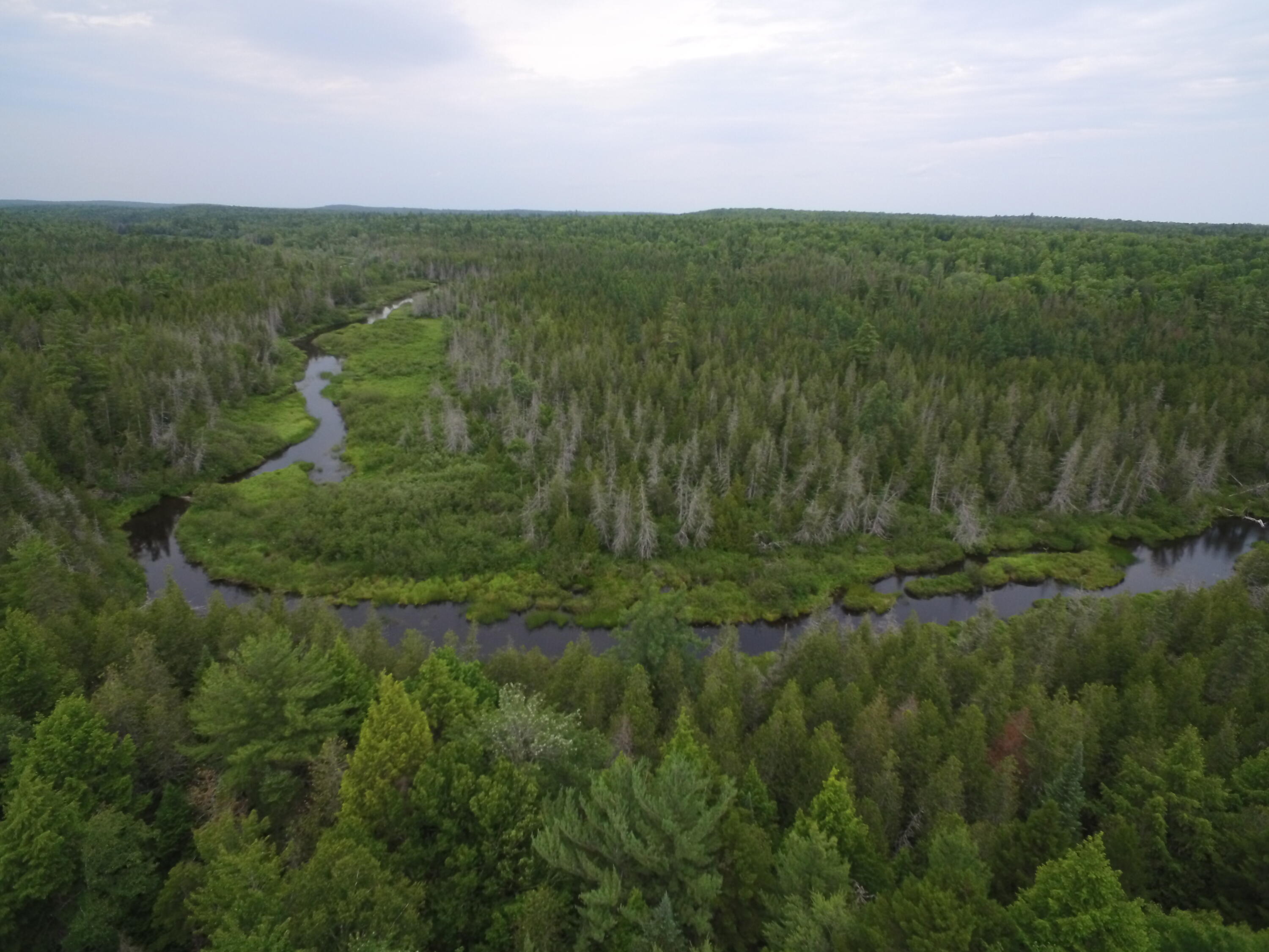 Off Town Line Road Springfield, ME 04487 - Photo 5 of 20 DJI_0074