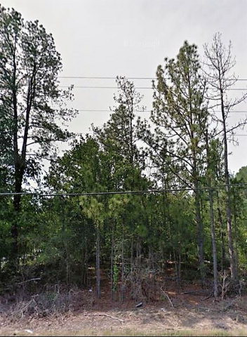 0 Trolley Line Road Graniteville, SC 29829 - Photo 1 of 1