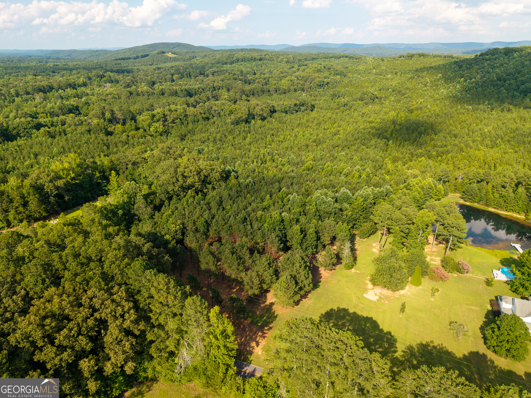 0 Hair Lake Road Summerville, GA 30747 - Photo 17 of 28