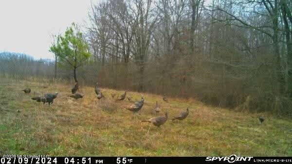 Miller Road Olive Branch, MS 38654 - Photo 8 of 9 Messenger_creation_7161863629191119333