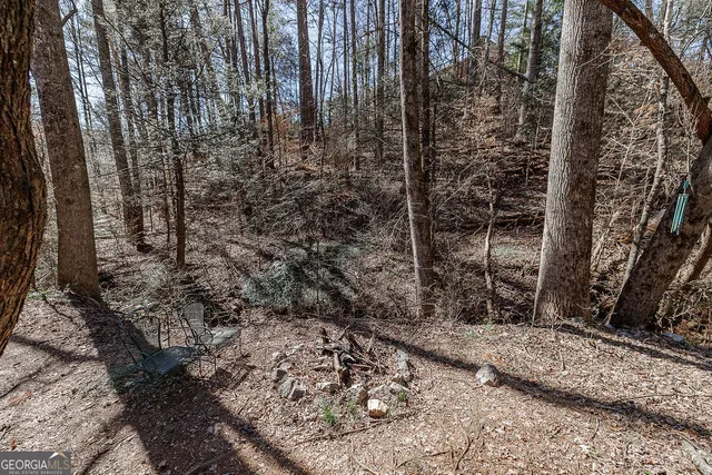 $298,000 | 236 Saga Mountain Road, Tiger, GA 30576