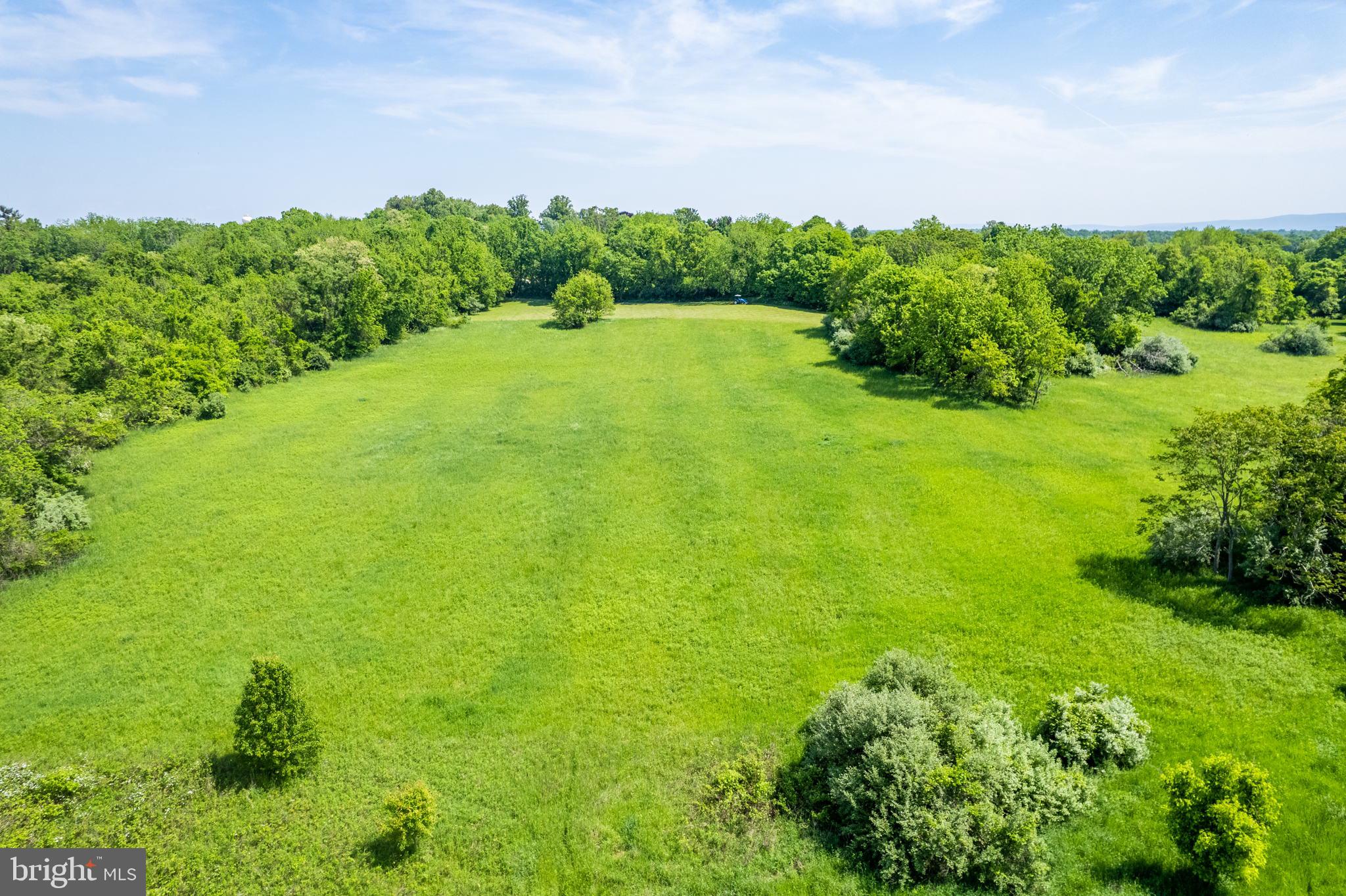 a view of a large yard with lots of green space