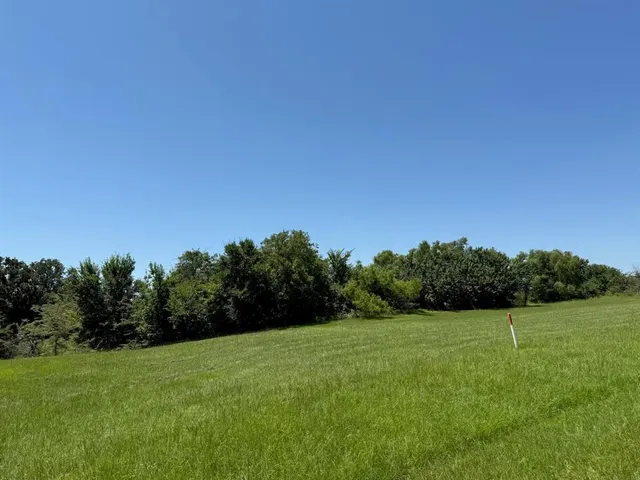 a view of a green field with a tree in the background