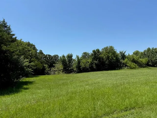 a view of grassy field with trees