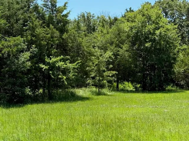 a view of green field with trees in the background
