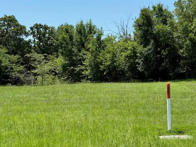 a view of yard with green space