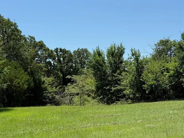 a view of a field with trees in the background