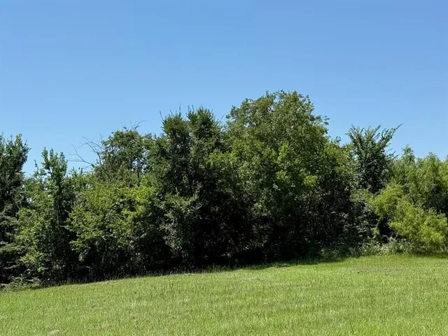 a view of yard with green space