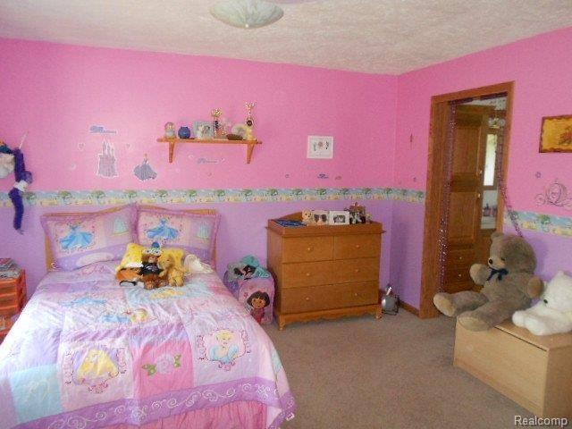 6995 Gardner Line Road Lexington, MI 48450 - Photo 11 of 18 DSCN7943.JPG
