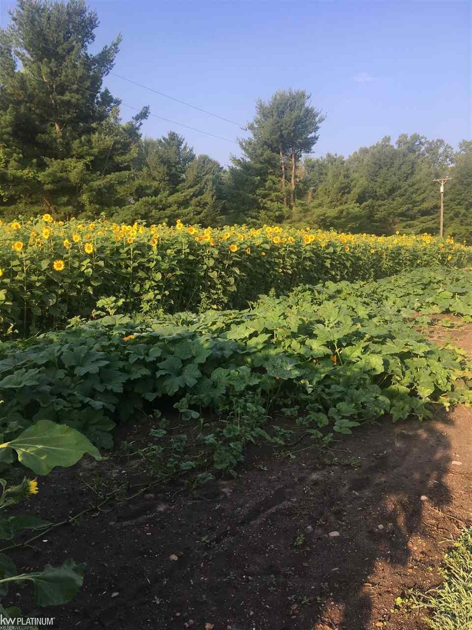 7141 Graham Road Jeddo, MI 48032 - Photo 38 of 39