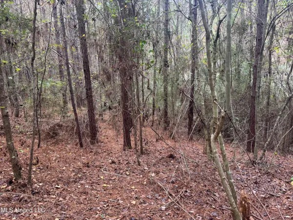 $112,400 | 0 Elarton Road, Magnolia, MS 39652