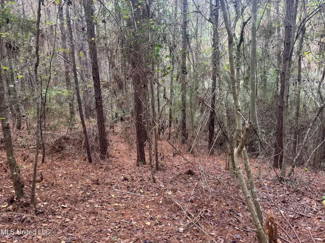 $112,400 | 0 Elarton Road, Osyka, MS 39657