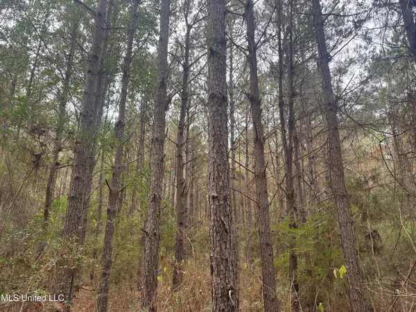 $112,400 | 0 Elarton Road, Magnolia, MS 39652