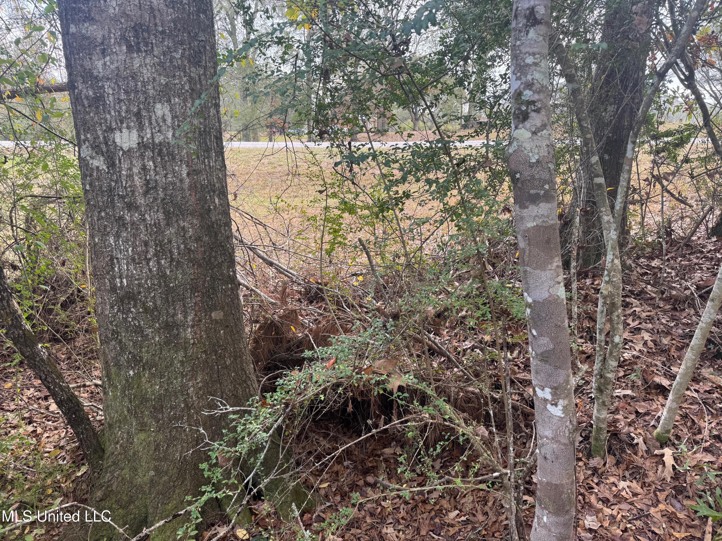 0 Elarton Road Magnolia, MS 39652 - Photo 14 of 23 NE corner by Hwy 51