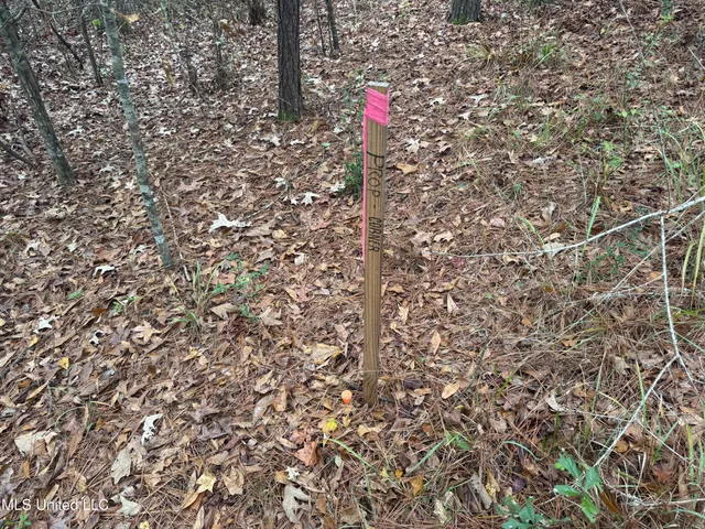 $112,400 | 0 Elarton Road, Osyka, MS 39657