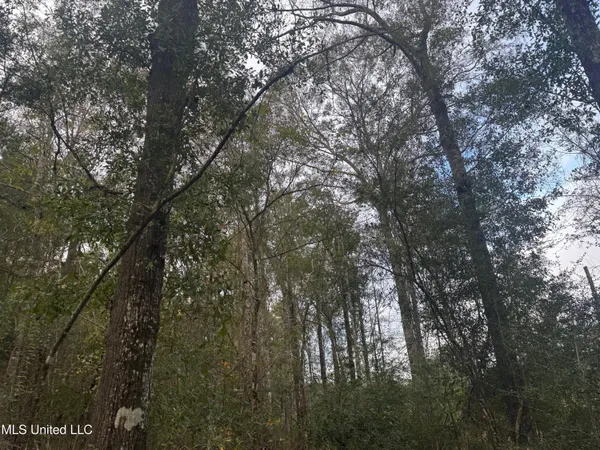 $112,400 | 0 Elarton Road, Magnolia, MS 39652