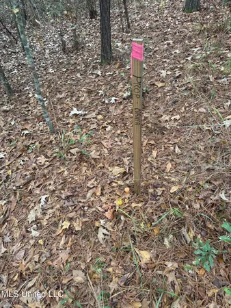 $112,400 | 0 Elarton Road, Magnolia, MS 39652