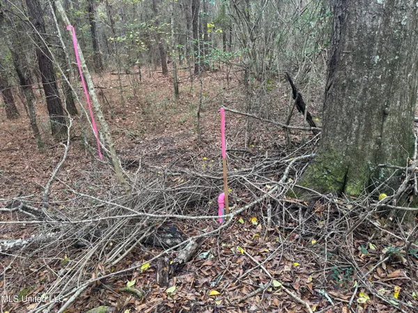 $112,400 | 0 Elarton Road, Magnolia, MS 39652