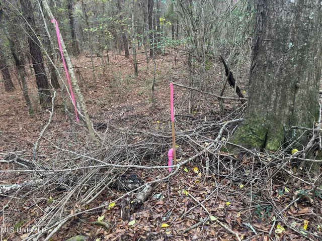 $112,400 | 0 Elarton Road, Osyka, MS 39657