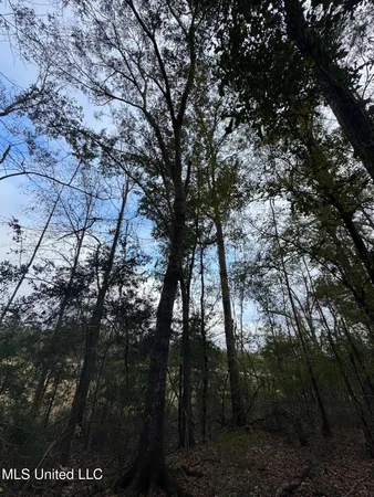 $112,400 | 0 Elarton Road, Magnolia, MS 39652