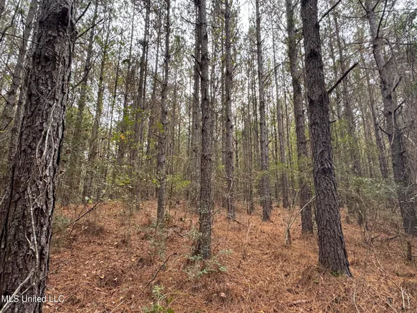 $112,400 | 0 Elarton Road, Magnolia, MS 39652