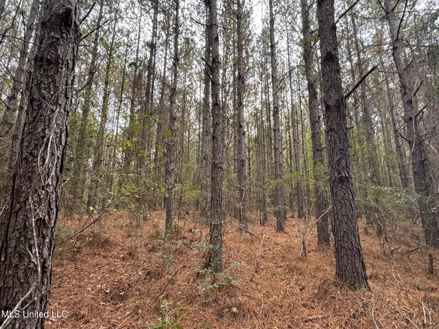 $112,400 | 0 Elarton Road, Osyka, MS 39657