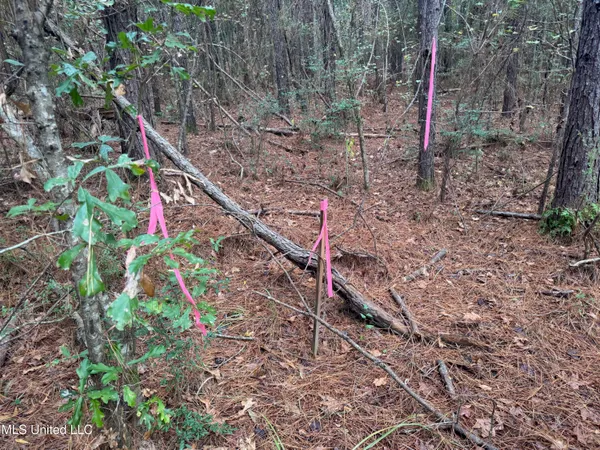 $112,400 | 0 Elarton Road, Magnolia, MS 39652